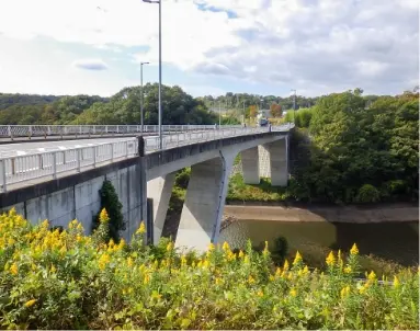 service-bridge-img-2