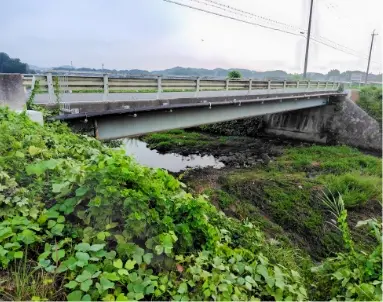service-bridge-img-3