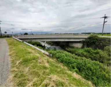 service-bridge-img-4